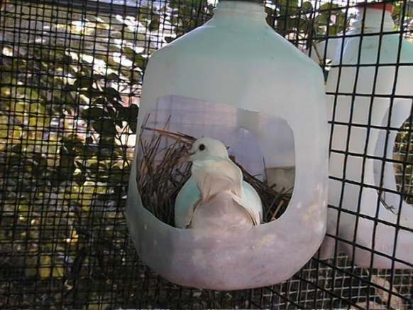NESTING CONTAINERS